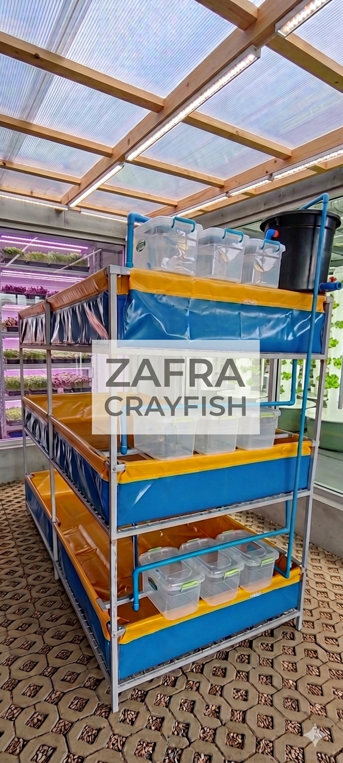 Zafra Crayfish Farming